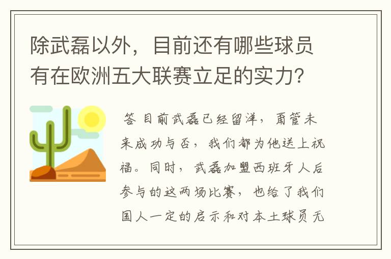 除武磊以外，目前还有哪些球员有在欧洲五大联赛立足的实力？