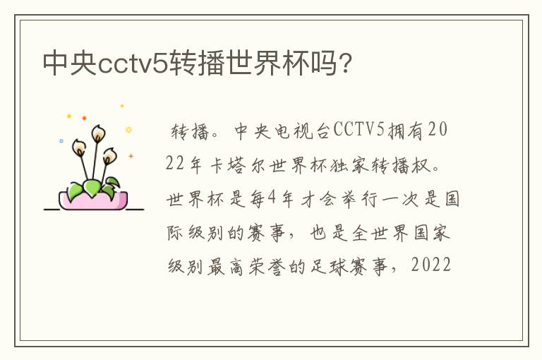 中央cctv5转播世界杯吗?