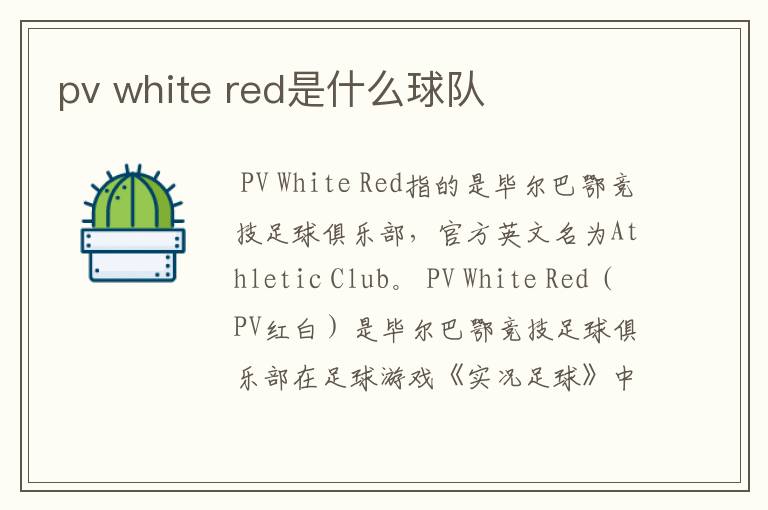 pv white red是什么球队