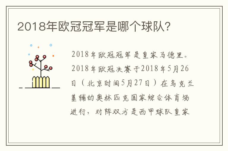 2018年欧冠冠军是哪个球队？