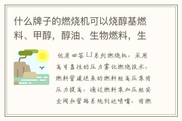 什么牌子的燃烧机可以烧醇基燃料、甲醇，醇油、生物燃料，生物柴油，乙醇，柴油，废油、轮胎油?