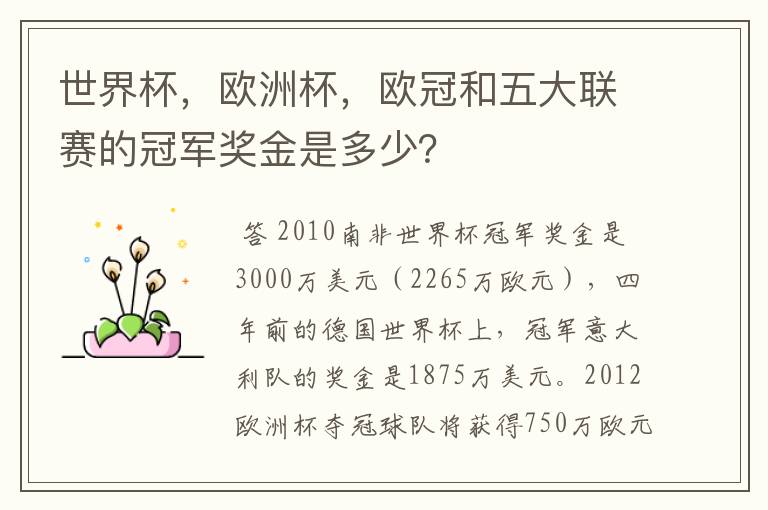 世界杯，欧洲杯，欧冠和五大联赛的冠军奖金是多少？