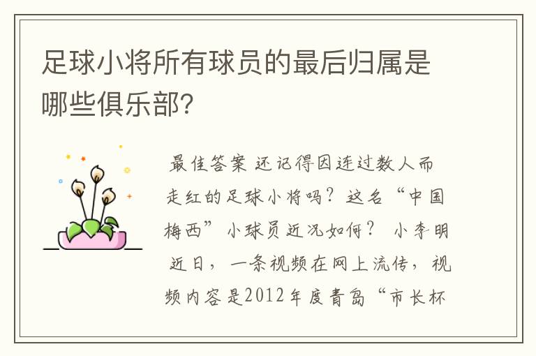 足球小将所有球员的最后归属是哪些俱乐部？