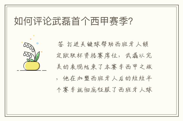 如何评论武磊首个西甲赛季？