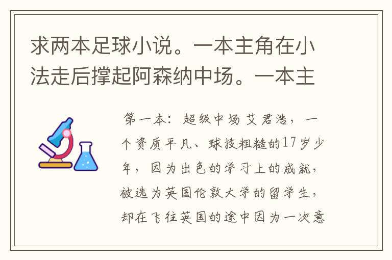 求两本足球小说。一本主角在小法走后撑起阿森纳中场。一本主角在皇马，和大牌关系很好，鸟叔也很照顾他。