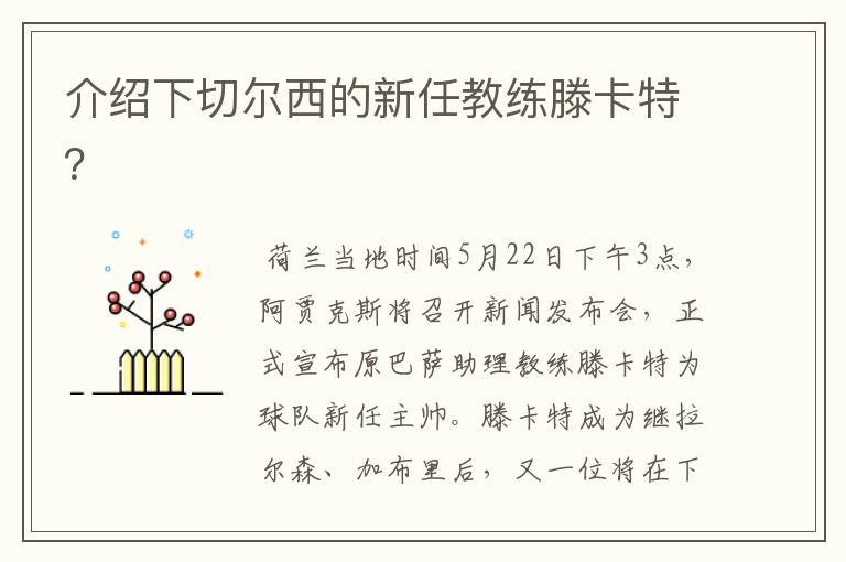 介绍下切尔西的新任教练滕卡特？