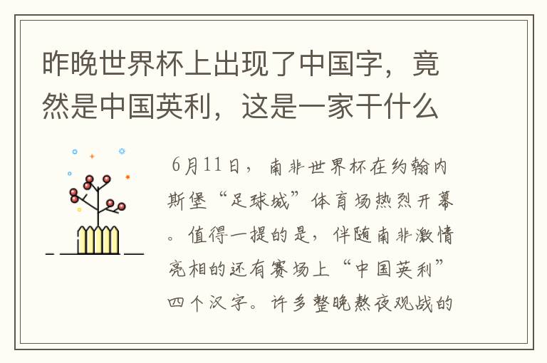 昨晚世界杯上出现了中国字，竟然是中国英利，这是一家干什么的公司啊？