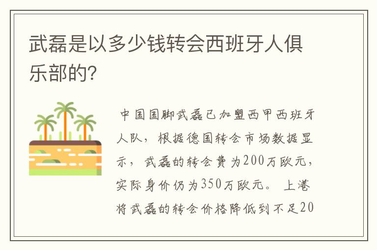 武磊是以多少钱转会西班牙人俱乐部的？