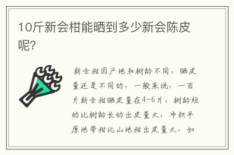 10斤新会柑能晒到多少新会陈皮呢？