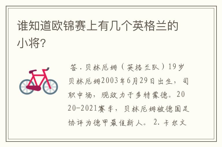 谁知道欧锦赛上有几个英格兰的小将?