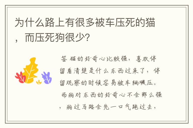 为什么路上有很多被车压死的猫，而压死狗很少？