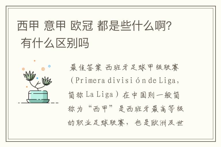 西甲 意甲 欧冠 都是些什么啊？ 有什么区别吗