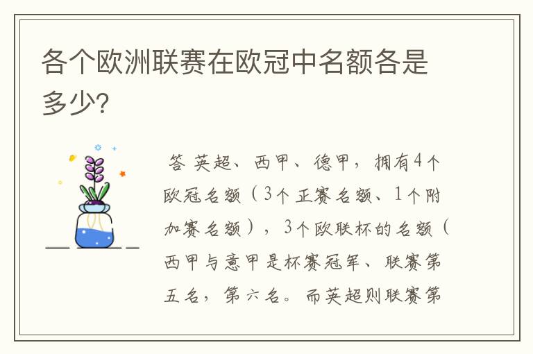 各个欧洲联赛在欧冠中名额各是多少？