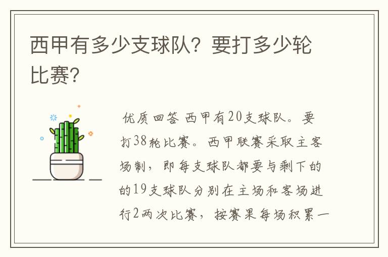 西甲有多少支球队？要打多少轮比赛？