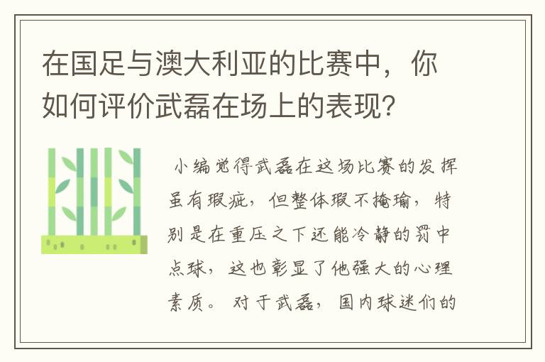 在国足与澳大利亚的比赛中，你如何评价武磊在场上的表现？