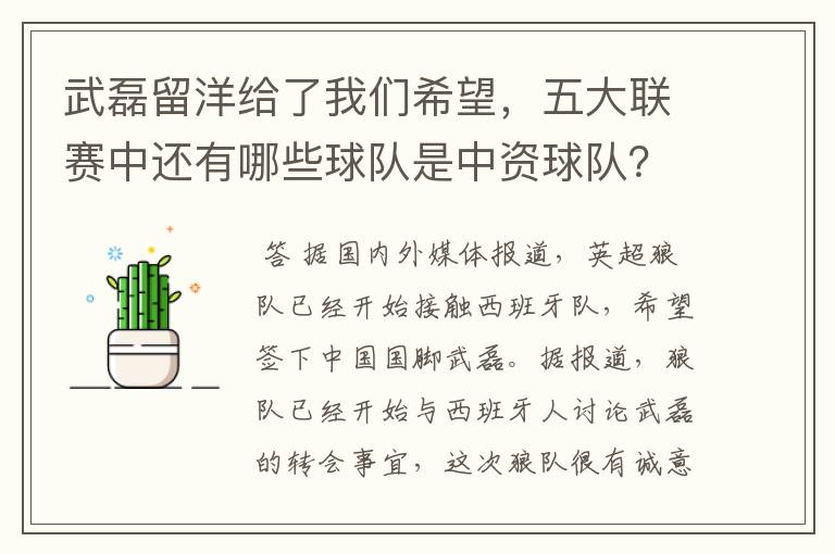 武磊留洋给了我们希望，五大联赛中还有哪些球队是中资球队？