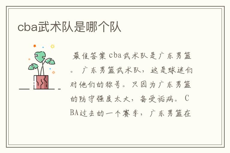 cba武术队是哪个队