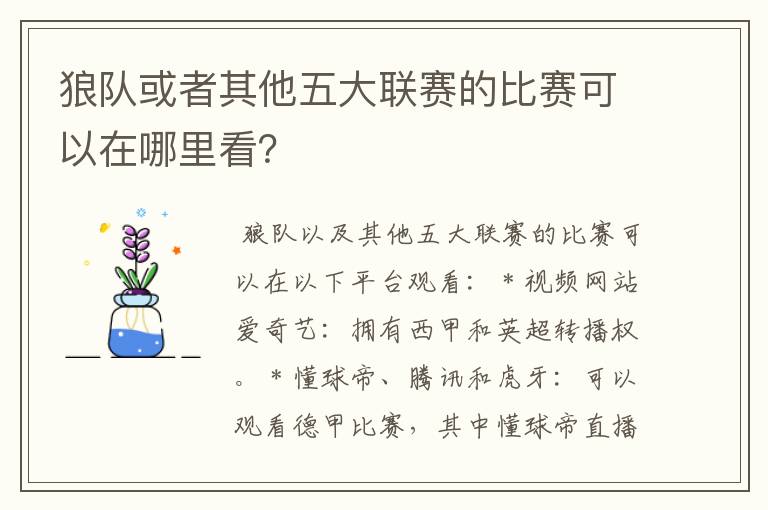 狼队或者其他五大联赛的比赛可以在哪里看？