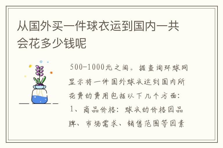 从国外买一件球衣运到国内一共会花多少钱呢