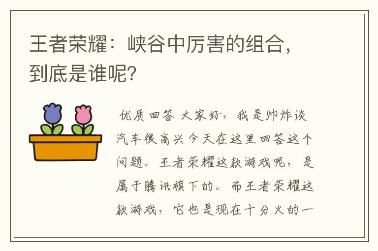 王者荣耀：峡谷中厉害的组合，到底是谁呢？