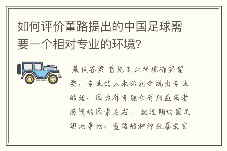 如何评价董路提出的中国足球需要一个相对专业的环境？