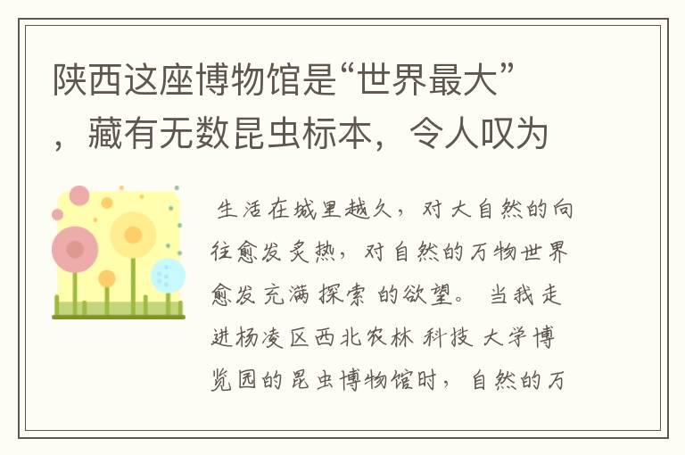 陕西这座博物馆是“世界最大”，藏有无数昆虫标本，令人叹为观止