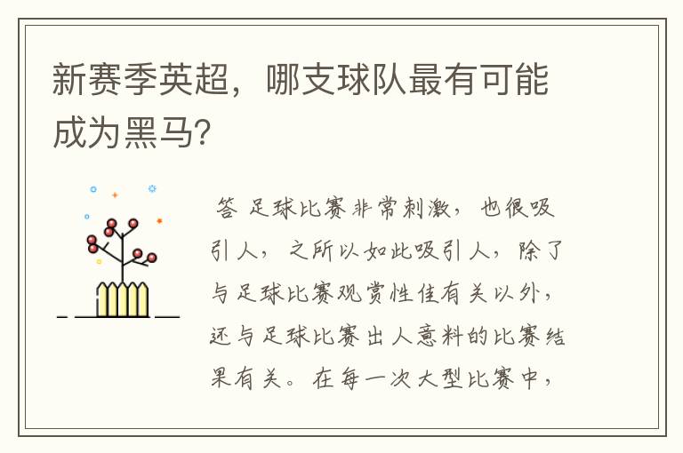 新赛季英超，哪支球队最有可能成为黑马？