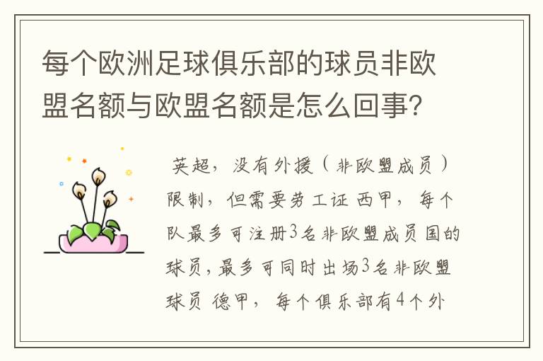 每个欧洲足球俱乐部的球员非欧盟名额与欧盟名额是怎么回事？