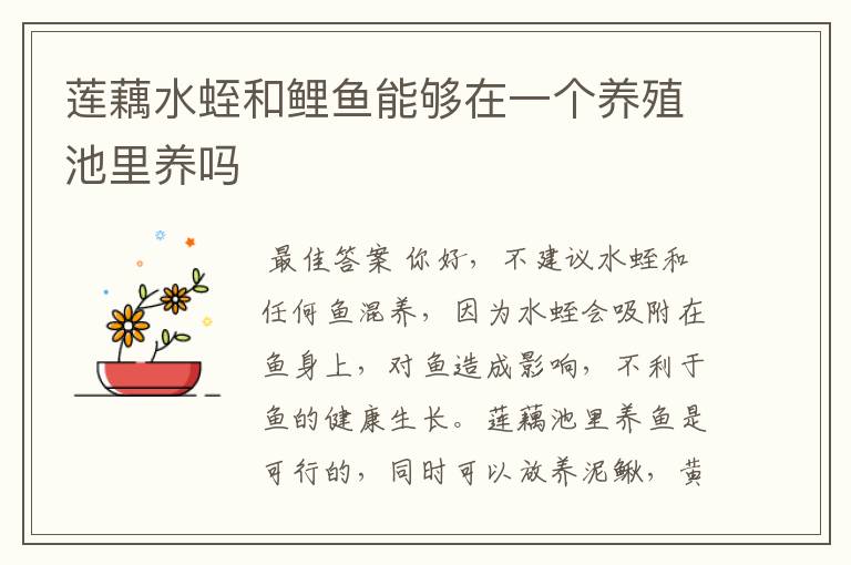 莲藕水蛭和鲤鱼能够在一个养殖池里养吗