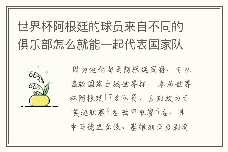 世界杯阿根廷的球员来自不同的俱乐部怎么就能一起代表国家队出战