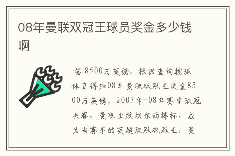 08年曼联双冠王球员奖金多少钱啊