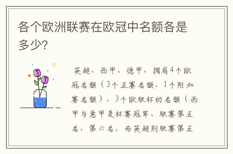 各个欧洲联赛在欧冠中名额各是多少？