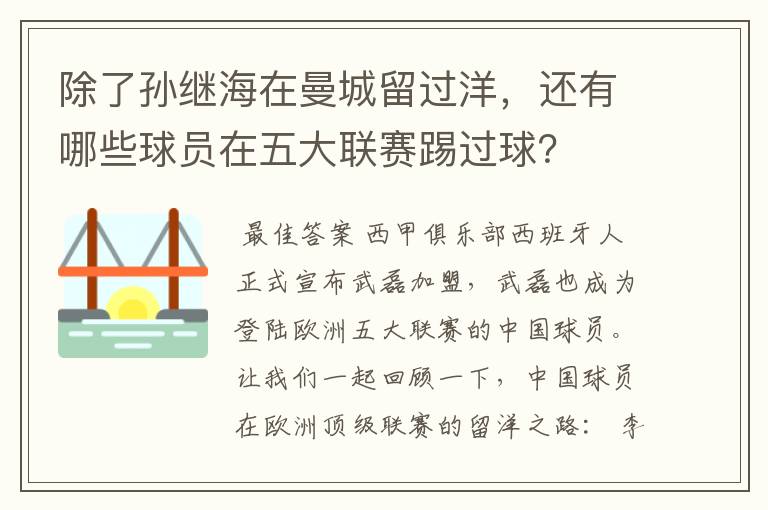 除了孙继海在曼城留过洋，还有哪些球员在五大联赛踢过球？