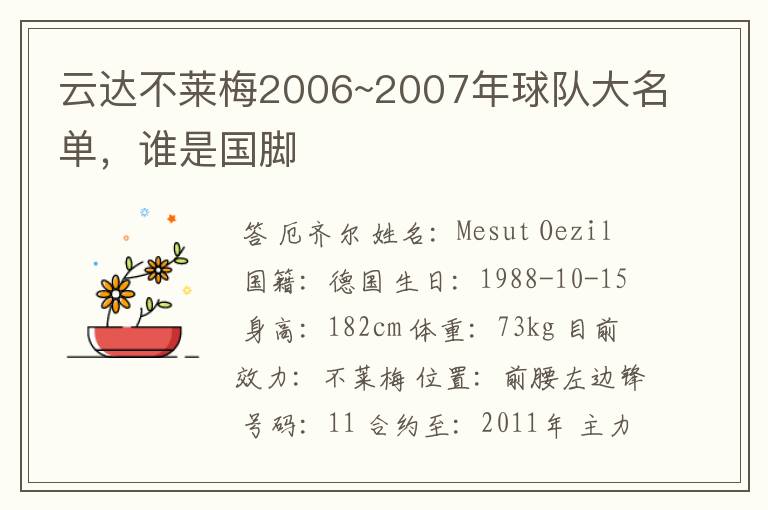 云达不莱梅2006~2007年球队大名单，谁是国脚