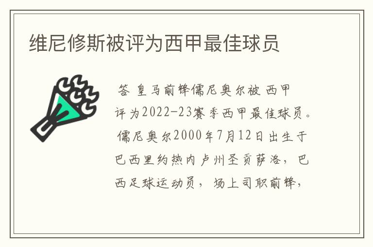 维尼修斯被评为西甲最佳球员