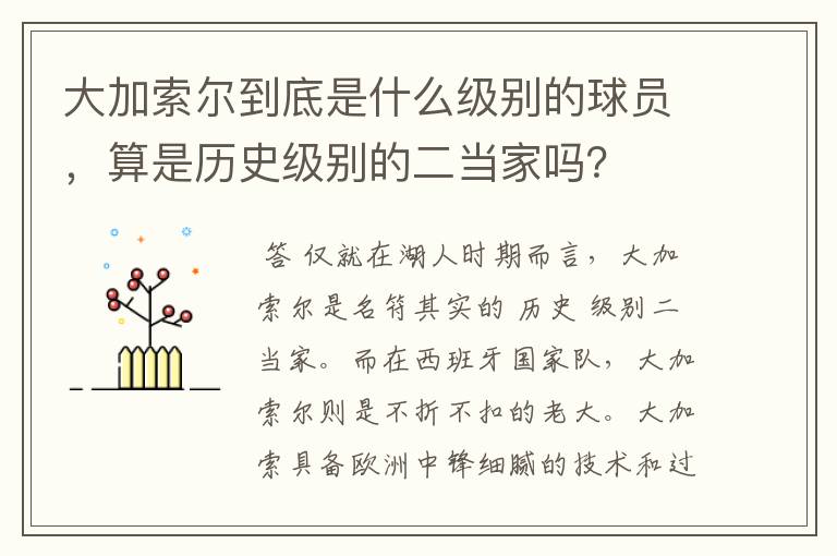 大加索尔到底是什么级别的球员，算是历史级别的二当家吗？