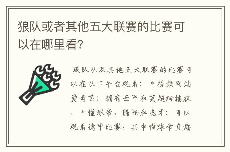 狼队或者其他五大联赛的比赛可以在哪里看？