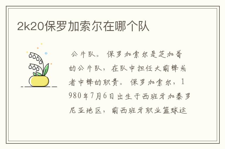 2k20保罗加索尔在哪个队