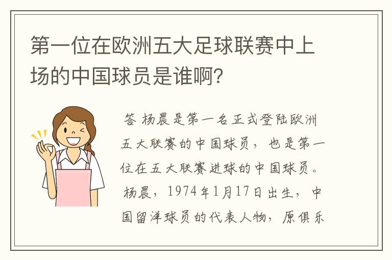 第一位在欧洲五大足球联赛中上场的中国球员是谁啊？