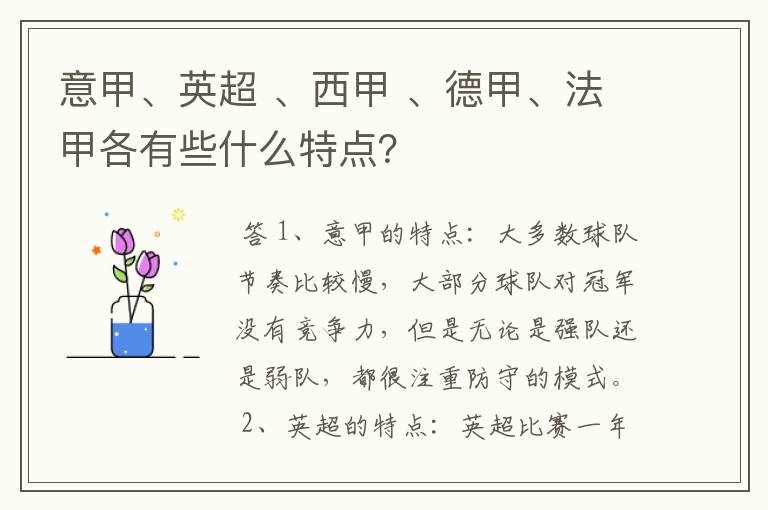 意甲、英超 、西甲 、德甲、法甲各有些什么特点？