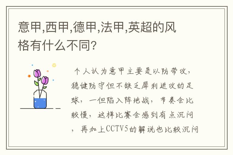 意甲,西甲,德甲,法甲,英超的风格有什么不同?