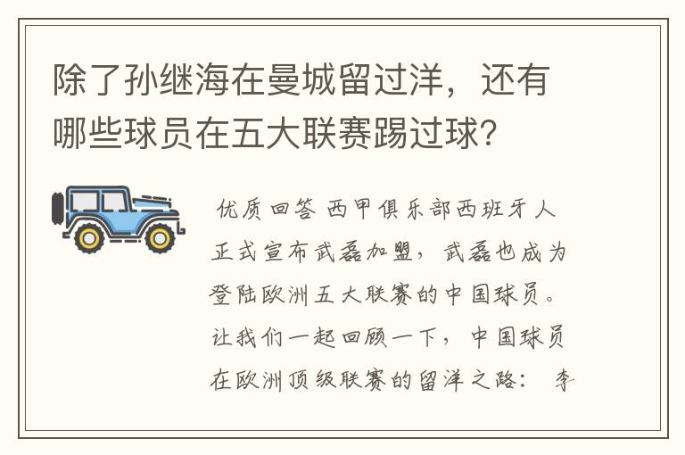 除了孙继海在曼城留过洋，还有哪些球员在五大联赛踢过球？