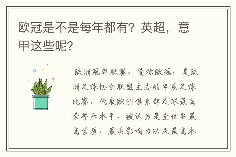 欧冠是不是每年都有？英超，意甲这些呢？