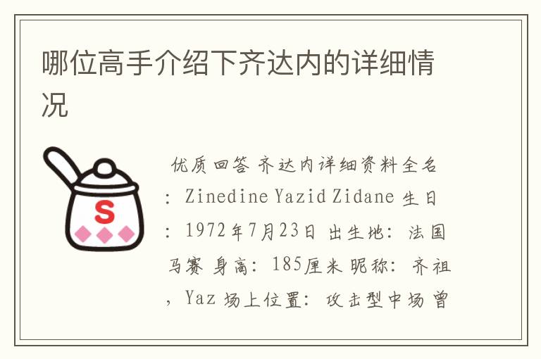 哪位高手介绍下齐达内的详细情况