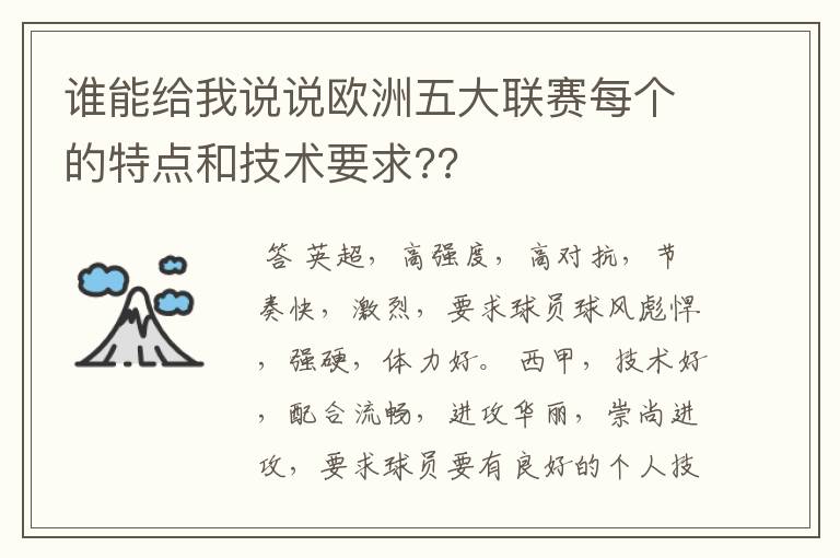 谁能给我说说欧洲五大联赛每个的特点和技术要求??