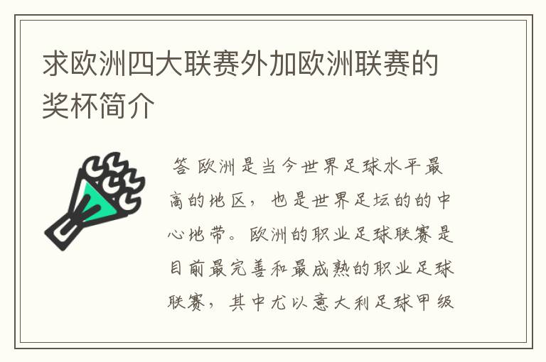 求欧洲四大联赛外加欧洲联赛的奖杯简介