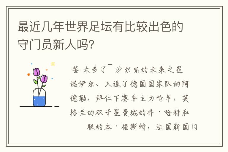 最近几年世界足坛有比较出色的守门员新人吗？