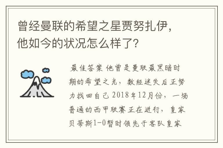 曾经曼联的希望之星贾努扎伊，他如今的状况怎么样了？