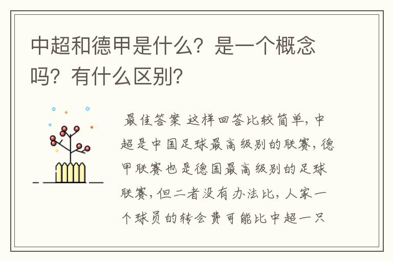 中超和德甲是什么？是一个概念吗？有什么区别？