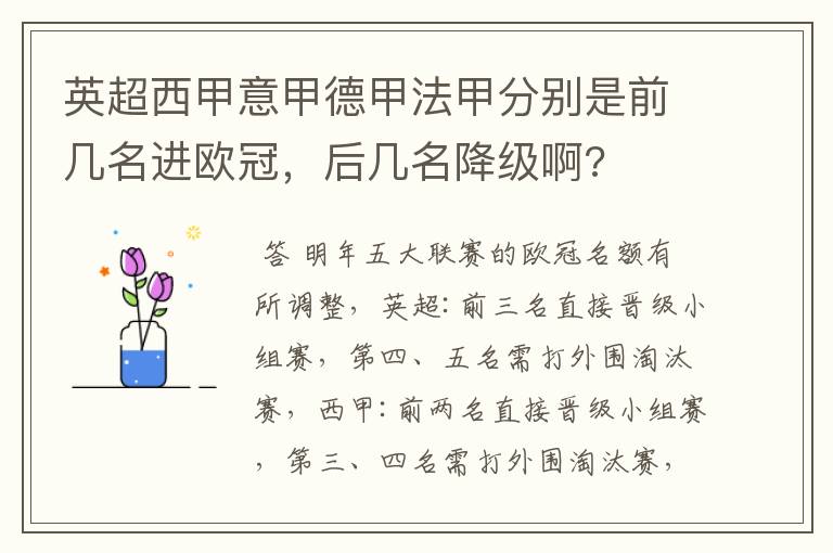 英超西甲意甲德甲法甲分别是前几名进欧冠，后几名降级啊?